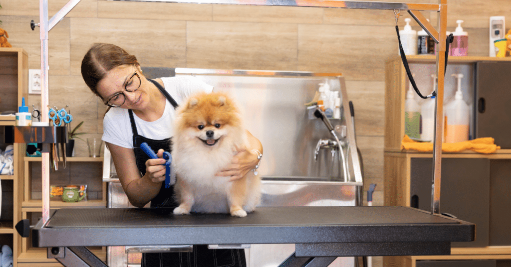 dog groomer with dog