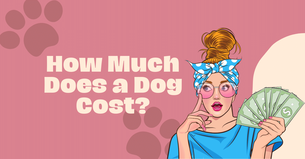 How Much Does a Dog Cost? Hidden Costs Revealed!