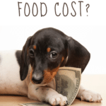 how much does dog food cost