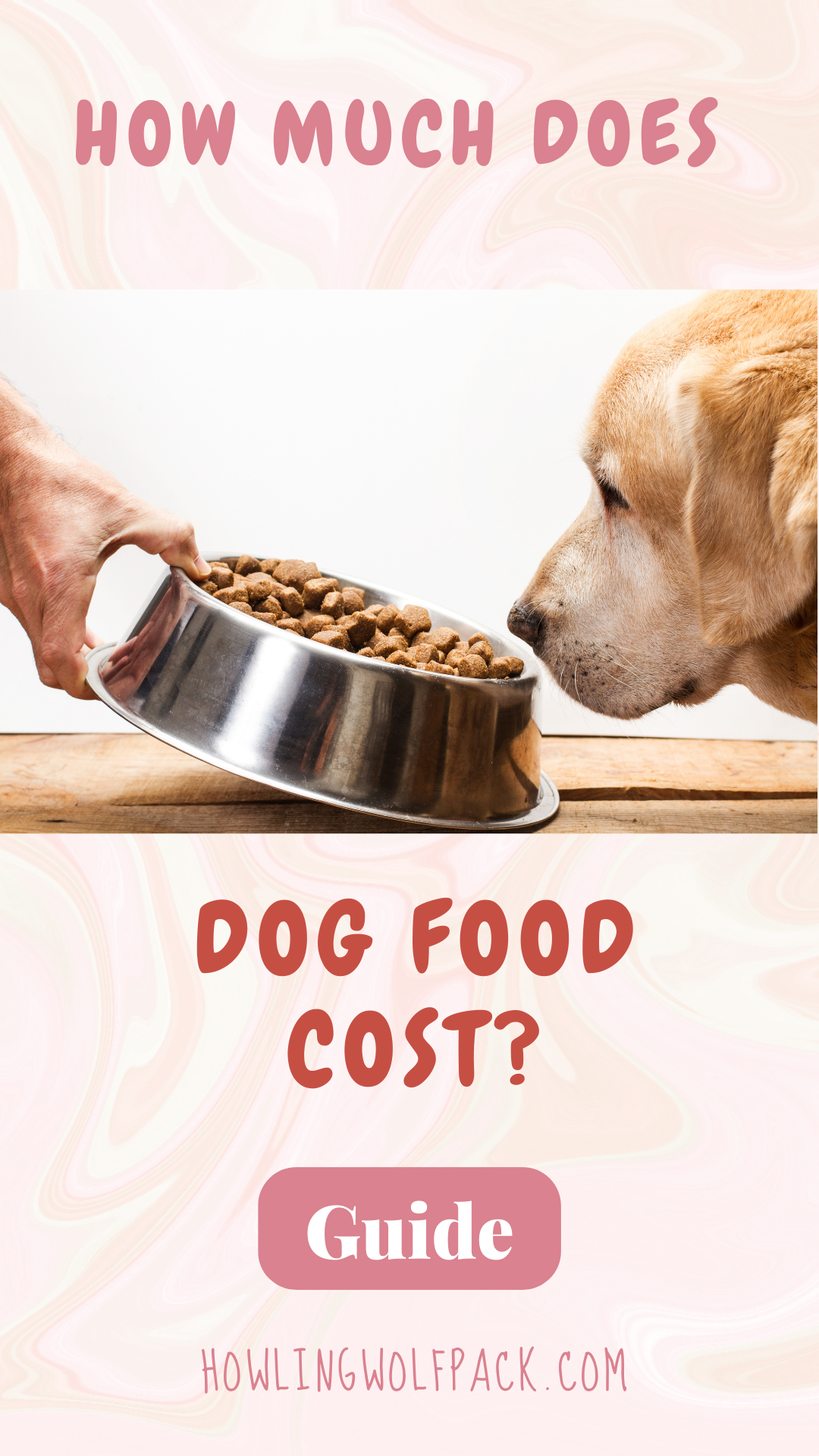 How Much Does Dog Food Cost? Types &amp; Countries Compared