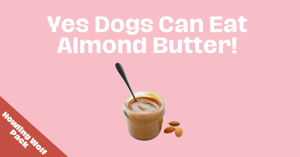 yes dogs can eat almond butter