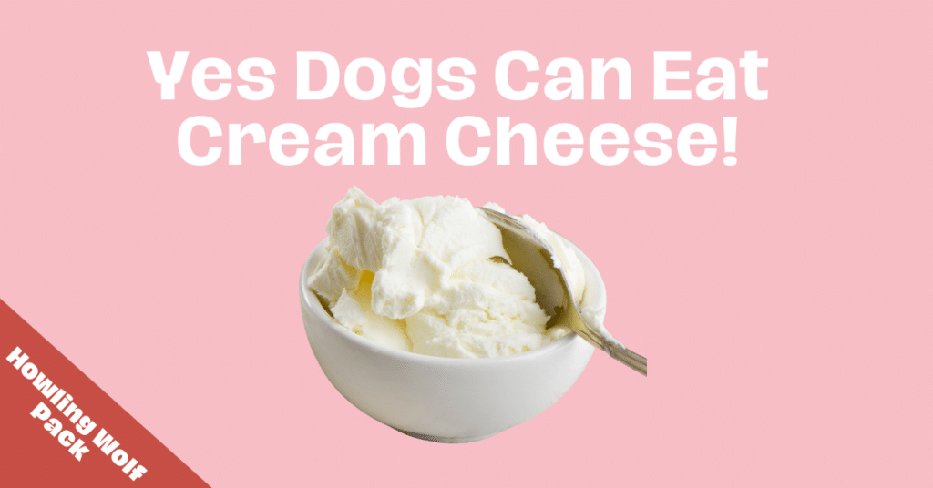 can dogs eat cream cheese?