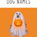 halloween dog names