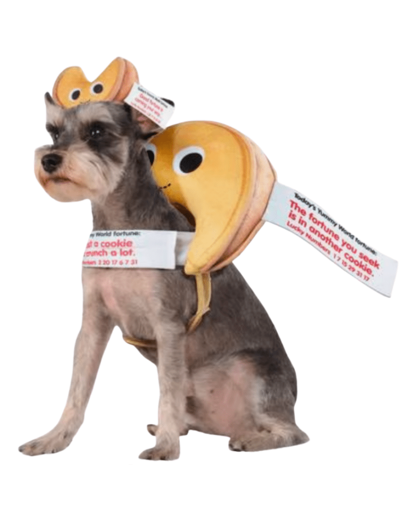 Large Dog Halloween Costumes large dog halloween costumes