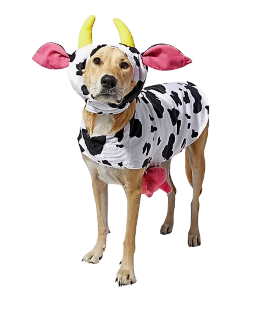 Large Dog Halloween Costumes large dog halloween costumes