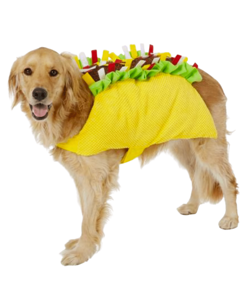 Large Dog Halloween Costumes large dog halloween costumes