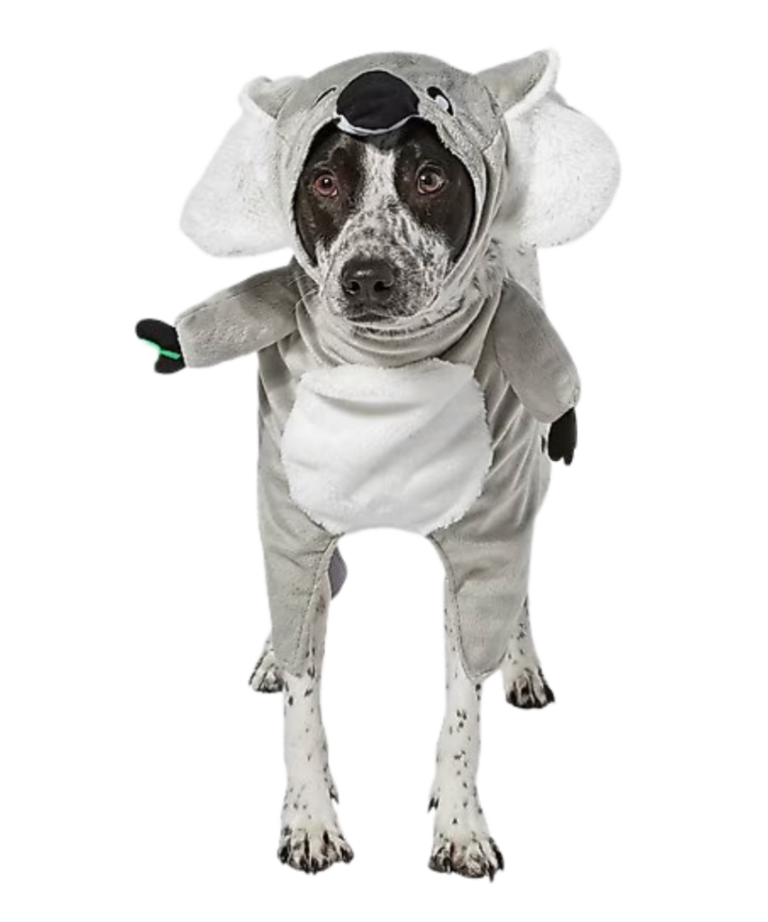 Large Dog Halloween Costumes large dog halloween costumes