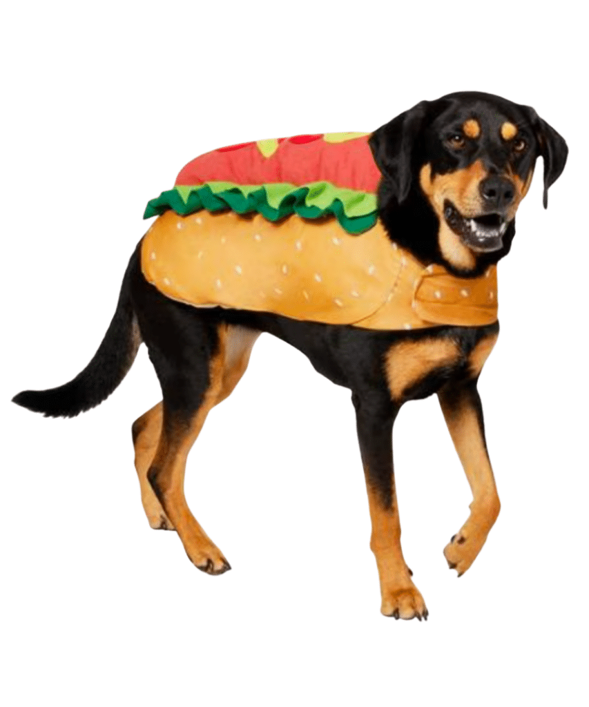 Large Dog Halloween Costumes large dog halloween costumes