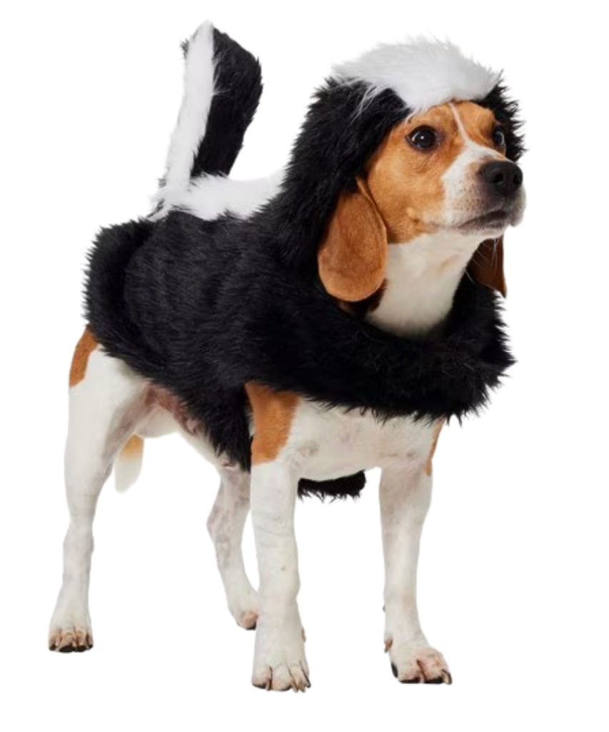 Large Dog Halloween Costumes large dog halloween costumes