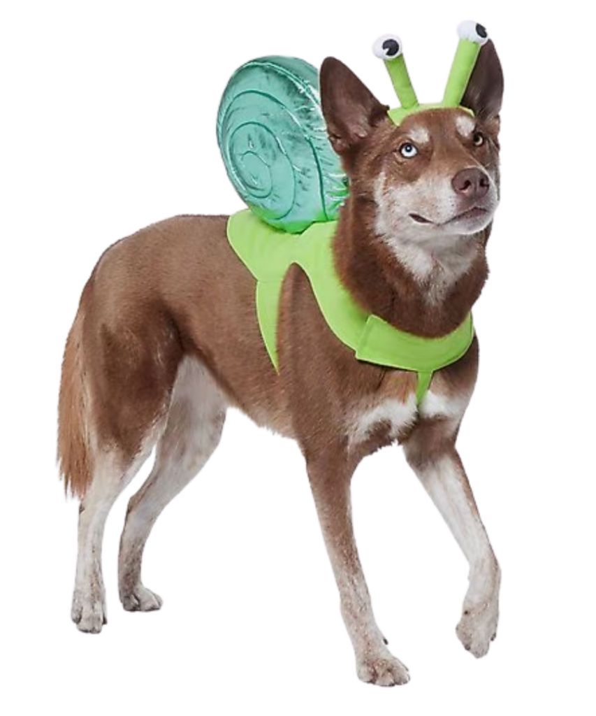 Large Dog Halloween Costumes large dog halloween costumes