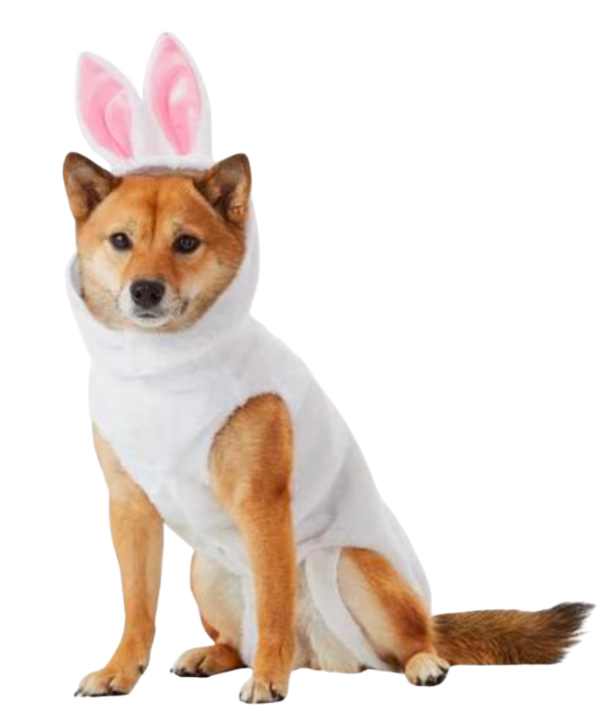 Large Dog Halloween Costumes large dog halloween costumes