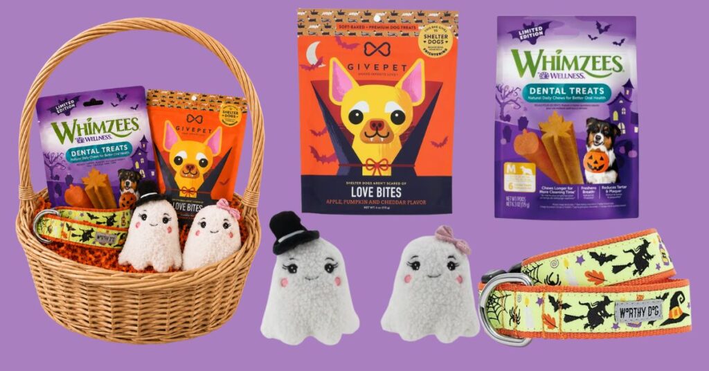 How to Make a Dog Boo Basket for Halloween dog boo basket